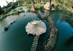 Nhất Lâm Thủy Trang Trà
