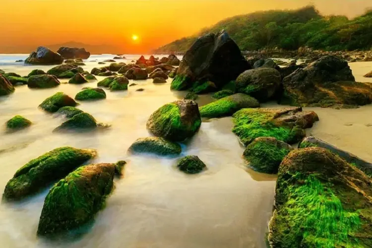 Bãi Biển Nam Ô Đà Nẵng