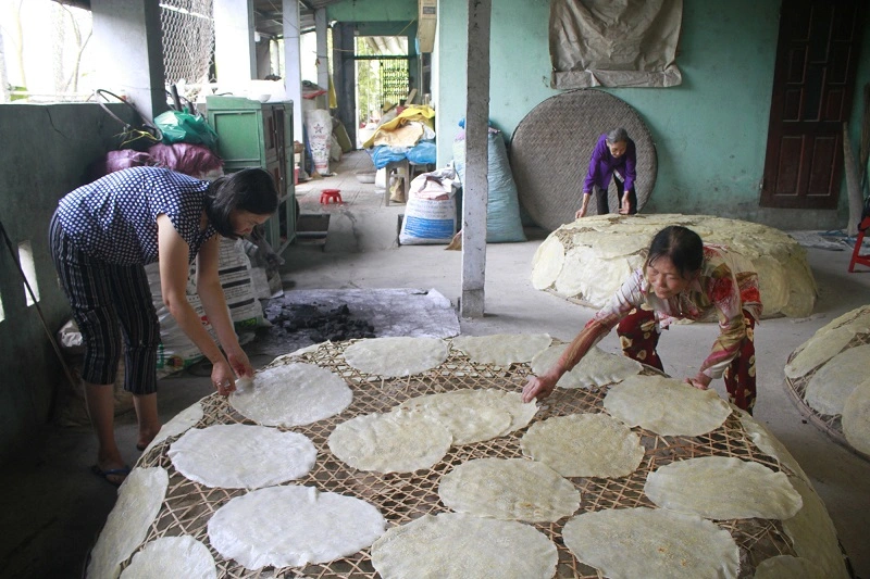 Làng bánh tráng Túy Loan