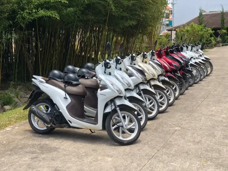 di chuyển đến động huyền không