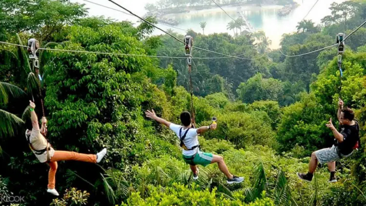 Trượt zipline
