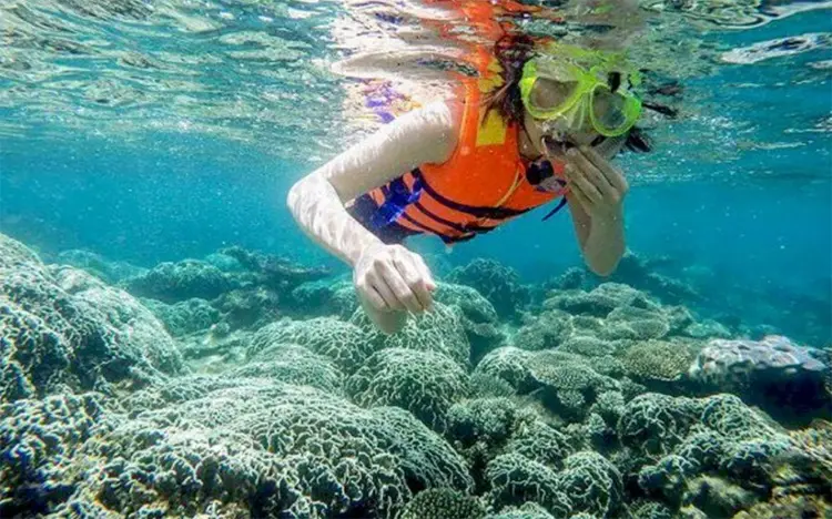 Bán đảo Sơn Trà Đà Nẵng