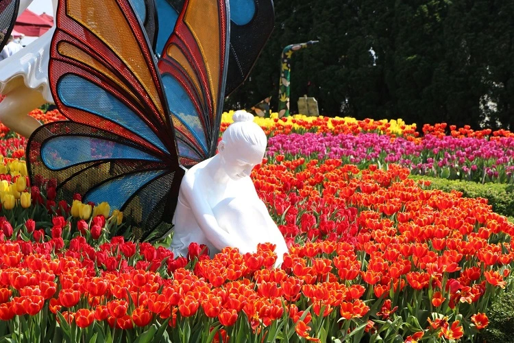Le Jardin D'Amour
