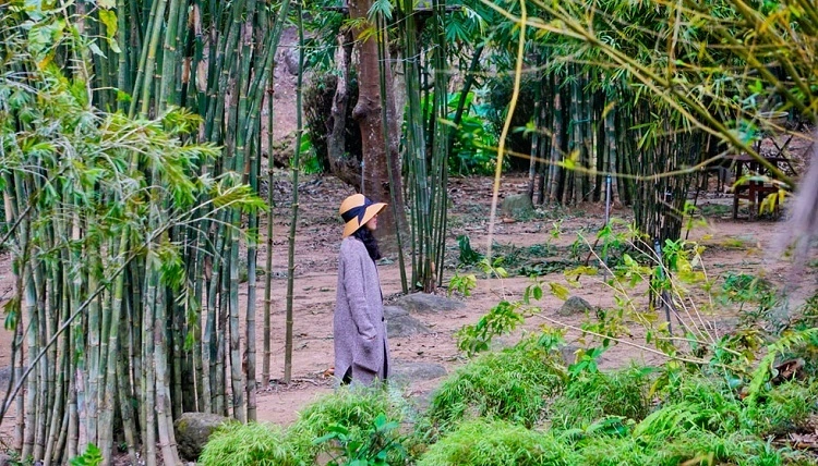 Sơn Trà Tịnh Viên