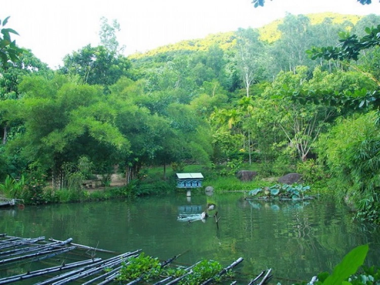 Sơn Trà Tịnh Viên - Đà Nẵng